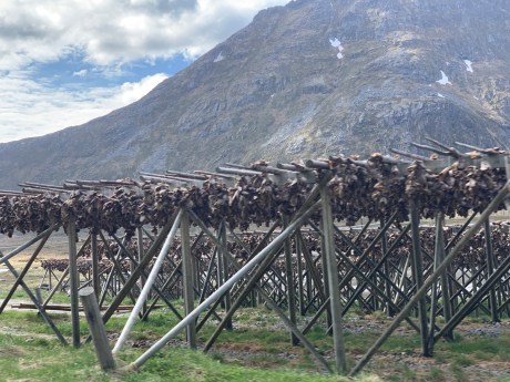 1MpZe7IhTqG5i722prX4hg