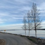 7%wSjGjpS0adYbPcVnf29g