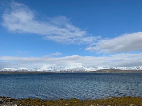 dRBZwwc%Q7uTLKD%q4Tatw