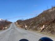 drpLwzJ1R360dAzW1mu68g