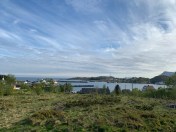 LvStxEcTTdaDV1BasZBlIw