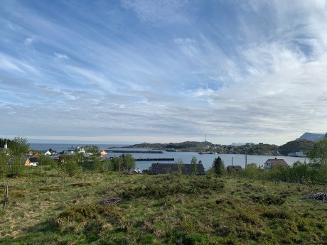 LvStxEcTTdaDV1BasZBlIw