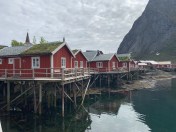 vj+WT0lETd2zVn2gCFXxnw